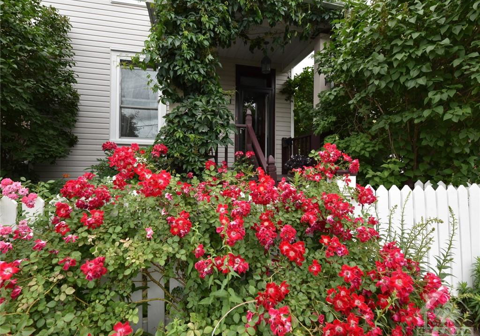 353-wilmont-avenue-ottawa-ontario-1247840
