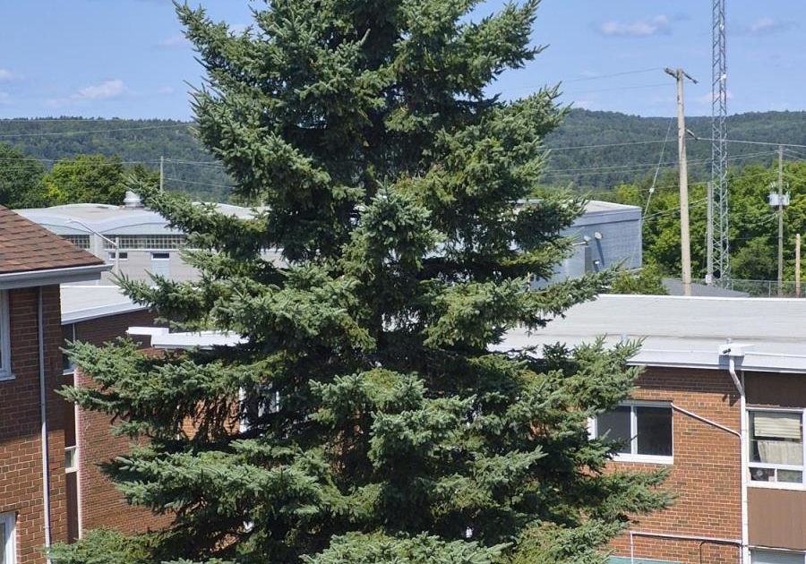 9-102-hutchison-avenue-elliot-lake-ontario-sm262129