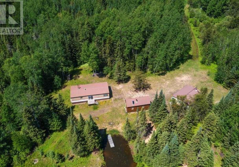 1-bear-camp-vermilion-bay-ontario-tb252026