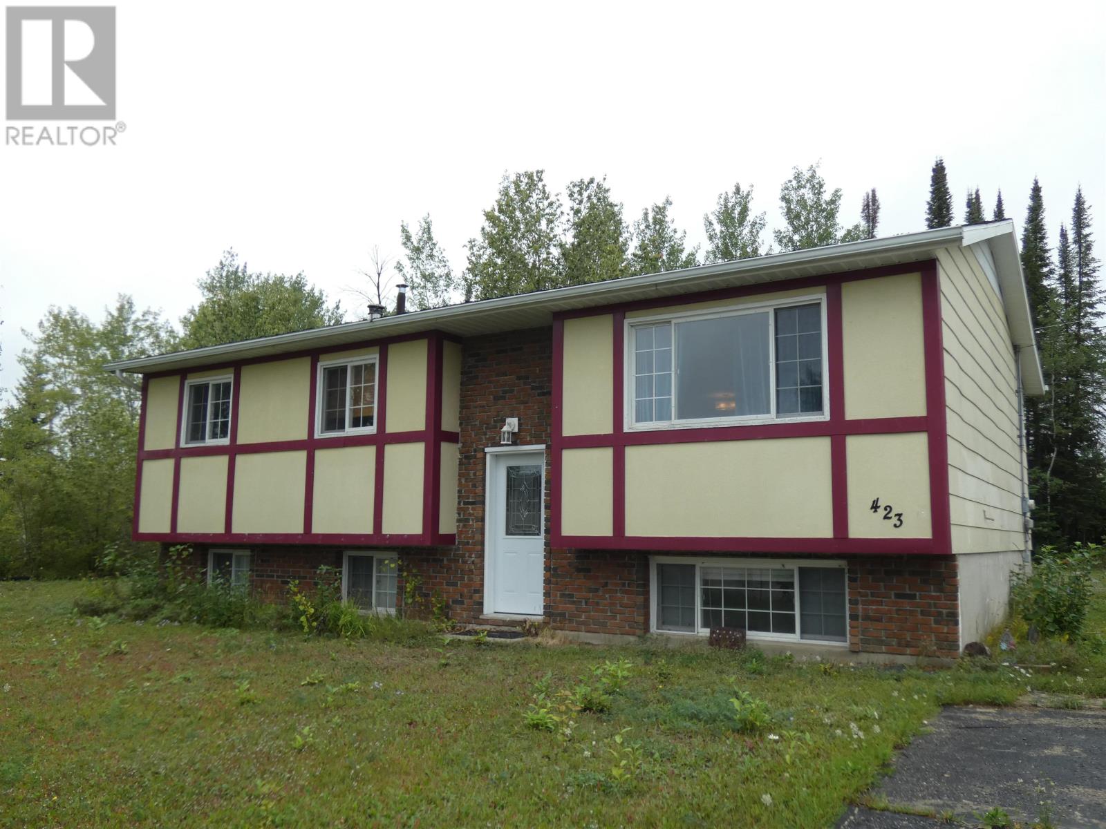 423-birch-crescent-nakina-ontario-tb2600726