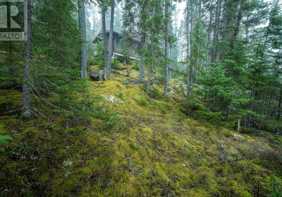 1-erdmann-island-atikokan-ontario-tb2600836