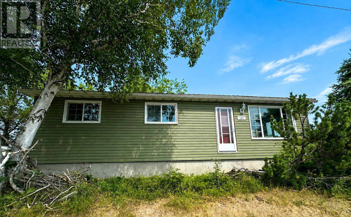101-detta-road-balmertown-ontario-tb2602249
