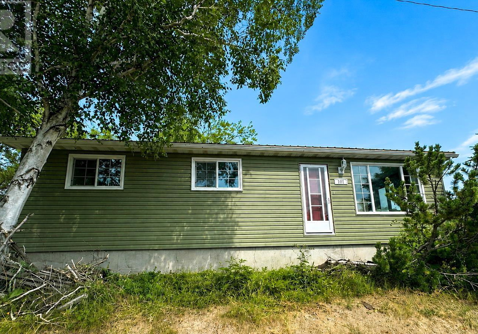 101-detta-road-balmertown-ontario-tb2602249