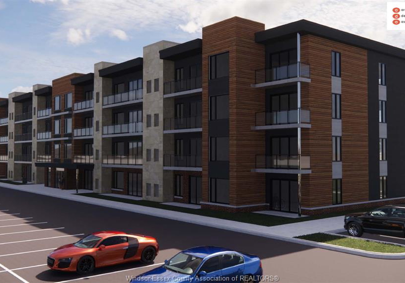 595-lily-mac-windsor-ontario-26001479