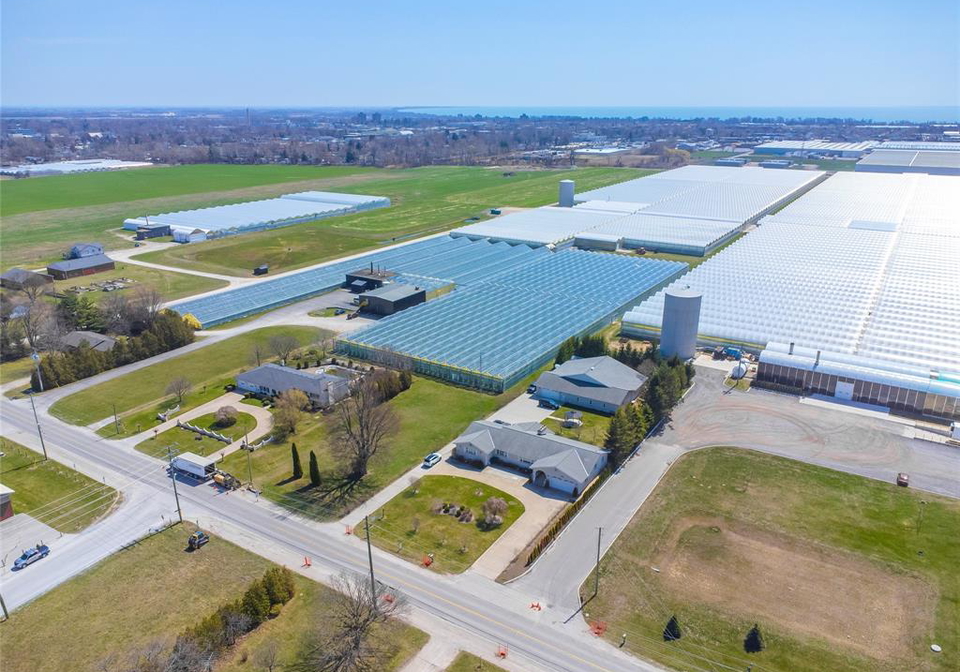 408-mersea-road-3-leamington-ontario-26006616