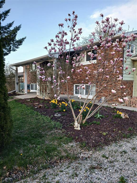8-story-street-blenheim-ontario-26009435