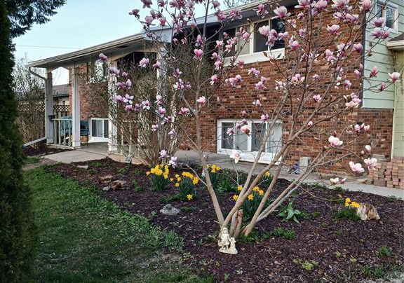 8-story-street-blenheim-ontario-26009435