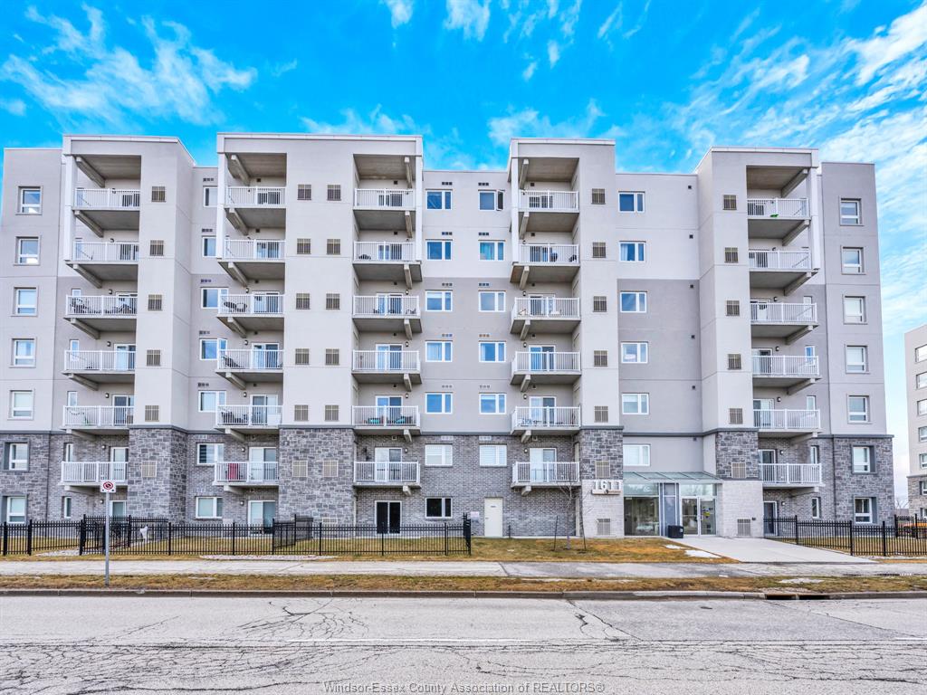 1611-banwell-windsor-ontario-26010288