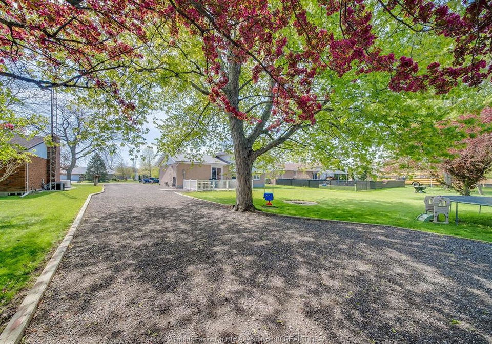18-campbell-merlin-ontario-26010571