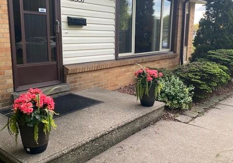 3331-glenwood-avenue-windsor-ontario-26010662