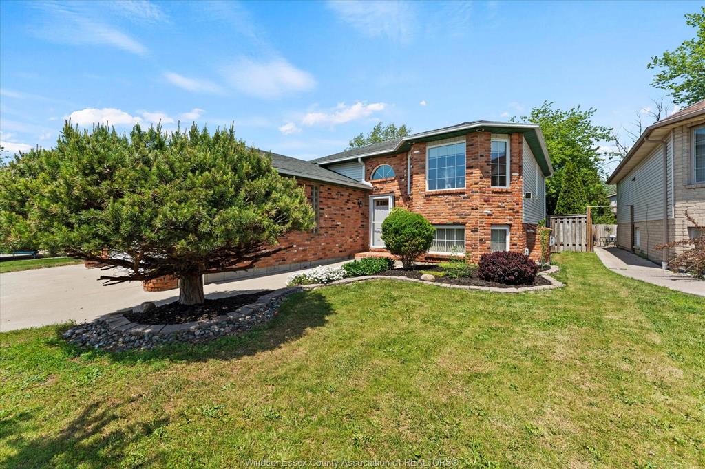 232-king-james-emeryville-ontario-26011509
