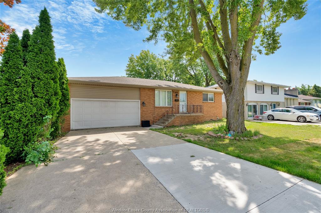 3966-byng-windsor-ontario-26015763