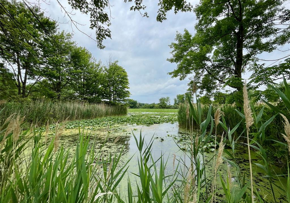 3371-county-road-20-amherstburg-ontario-26015915