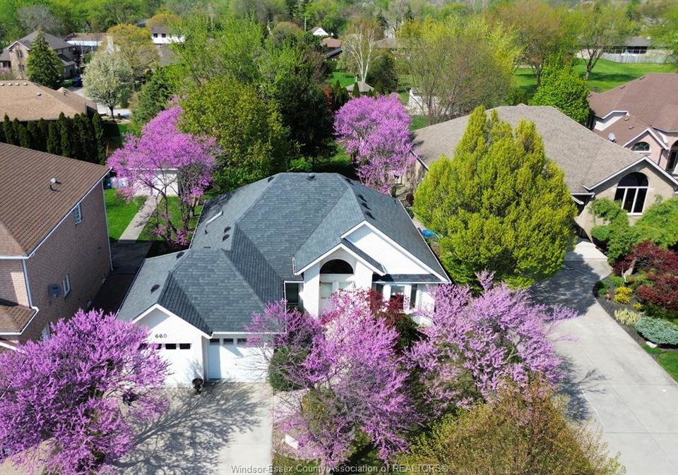 660-caruso-windsor-ontario-26016381