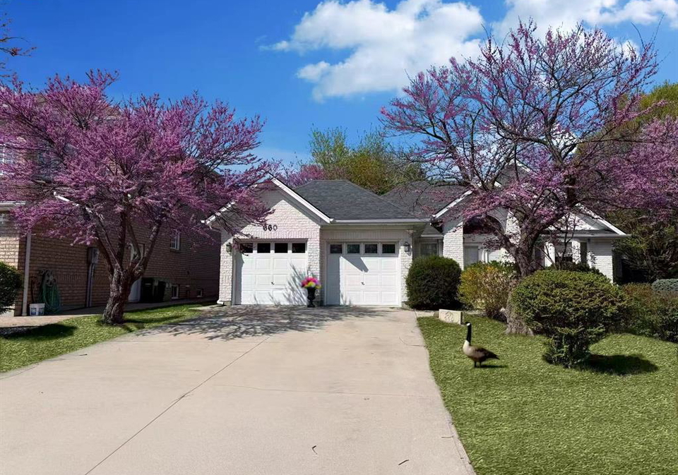 660-caruso-windsor-ontario-26016381