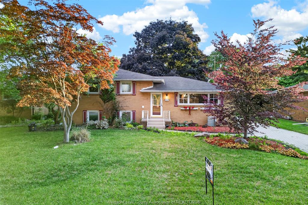 2445-everts-windsor-ontario-26016623