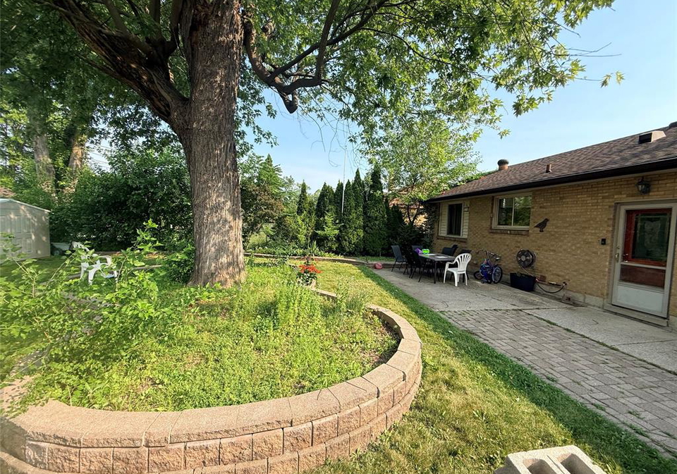 3199-mark-windsor-ontario-26017085