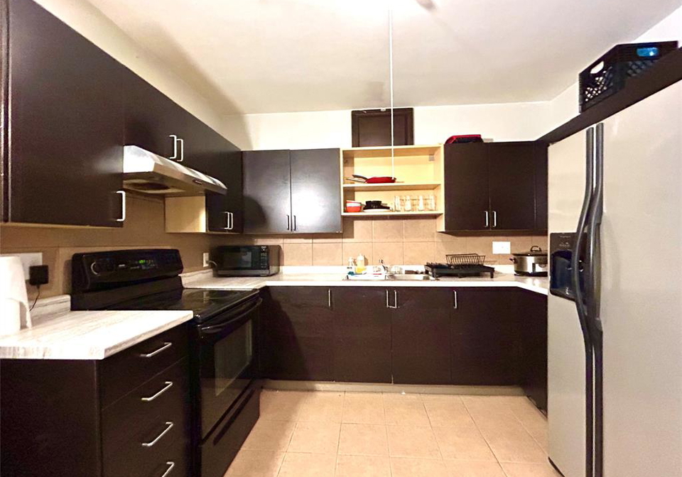 387-josephine-windsor-ontario-26017715
