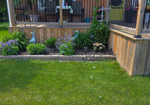 10797-countryview-line-dresden-ontario-26017745