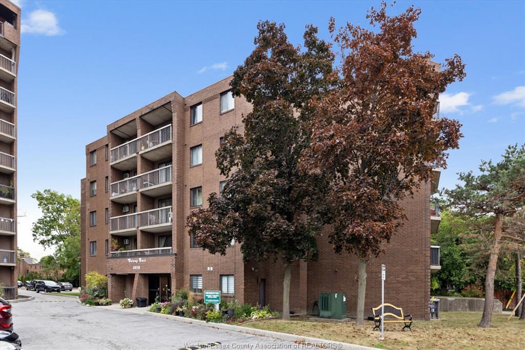 3950-wyandotte-street-east-windsor-ontario-26017828