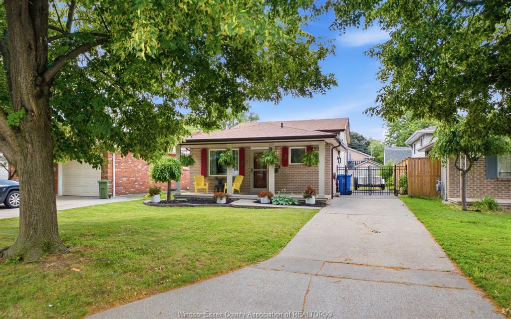 2509-ellrose-windsor-ontario-26018218