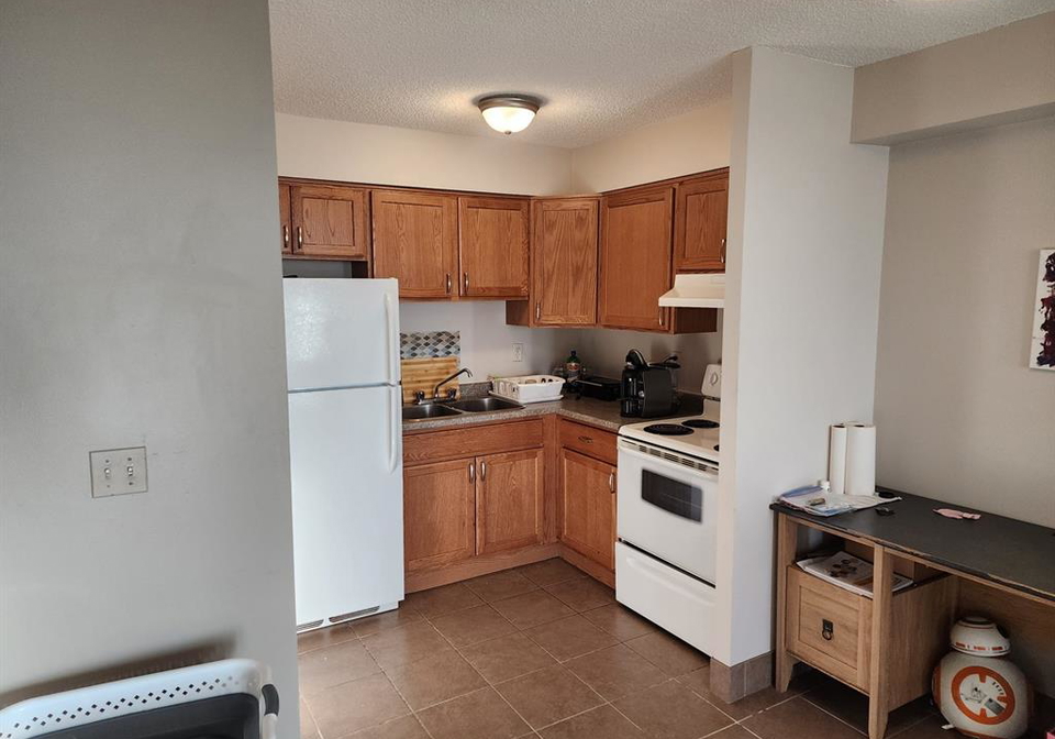 150-park-street-west-windsor-ontario-26018459