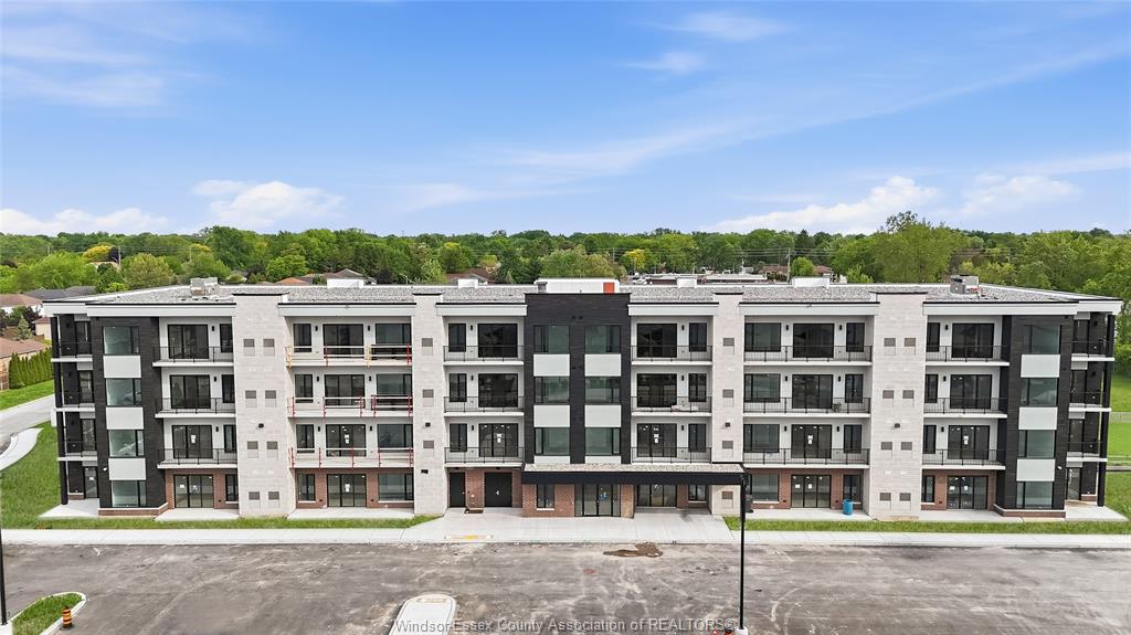 595-lily-mac-windsor-ontario-26019039