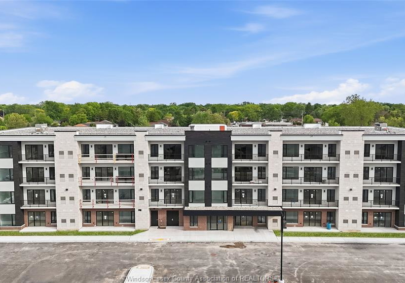 595-lily-mac-windsor-ontario-26019039