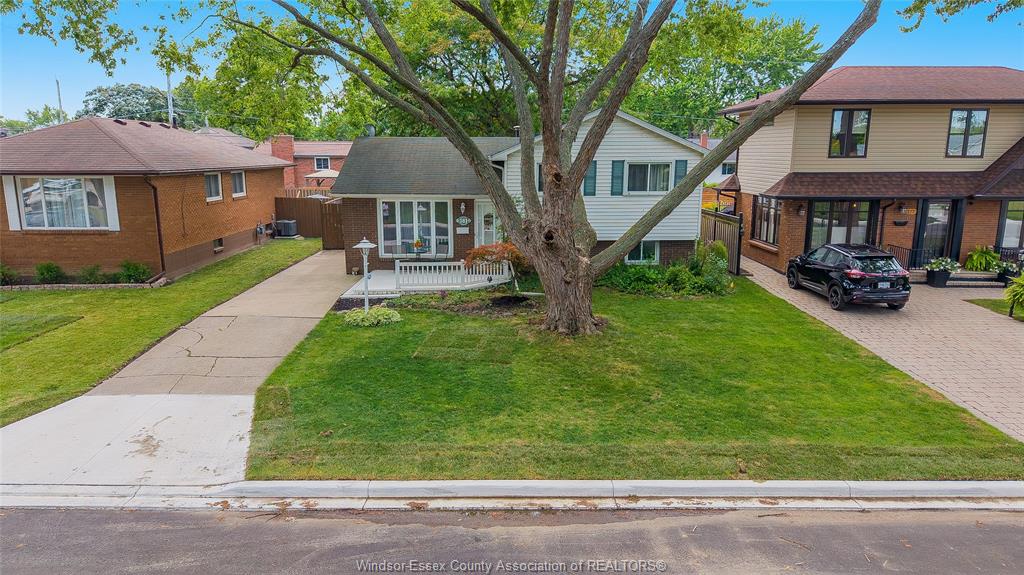381-carling-windsor-ontario-26019252