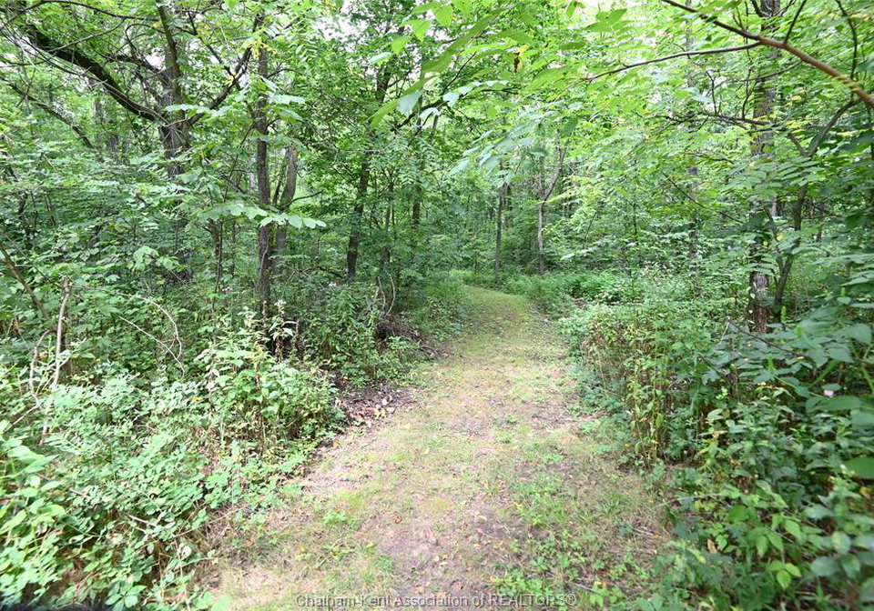 15895-longwoods-road-zone-township-ontario-26019404