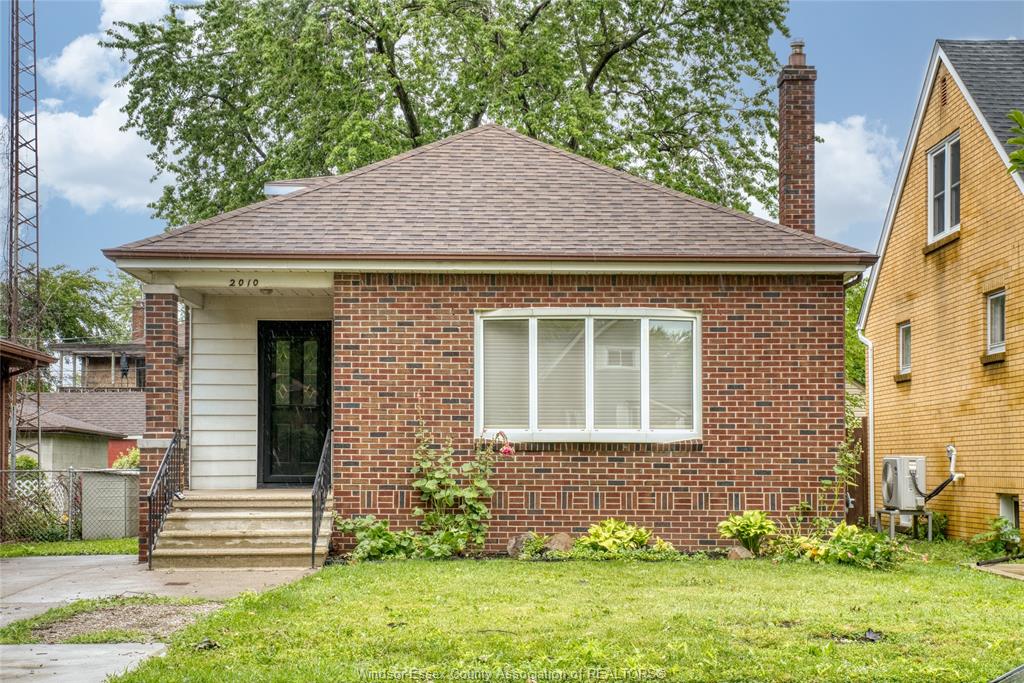 2010-olive-windsor-ontario-26020698