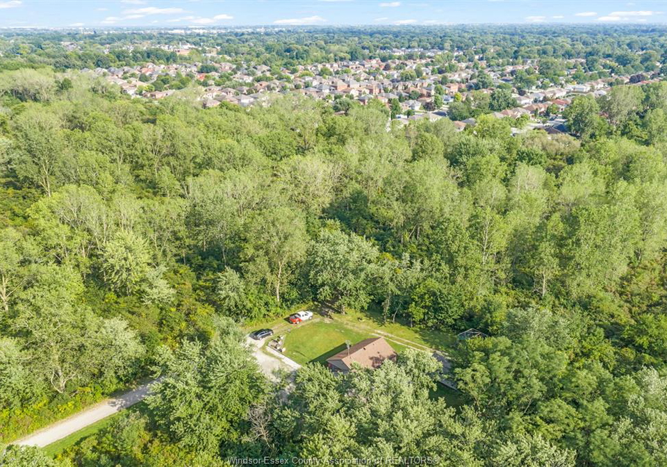 2125-betts-windsor-ontario-26021738