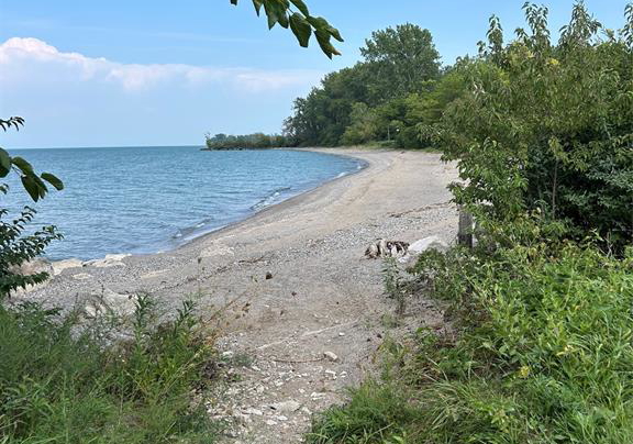 131-harris-garno-pelee-island-ontario-26022065
