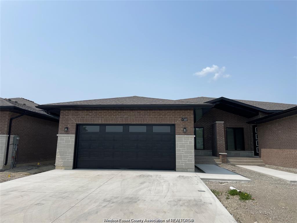 596-lily-mac-windsor-ontario-26022167