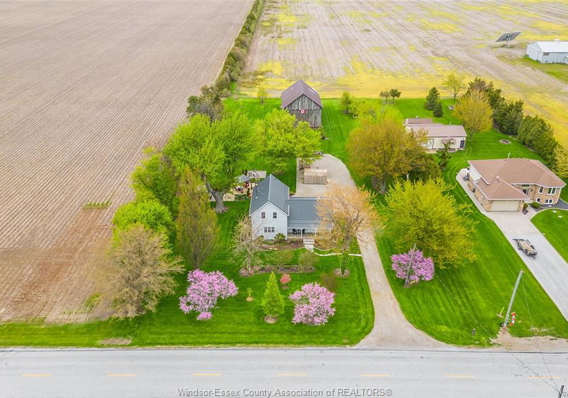 3098-3rd-concession-road-harrow-ontario-26022409
