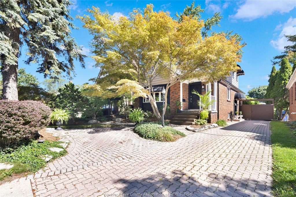 466-matthew-brady-windsor-ontario-26024504
